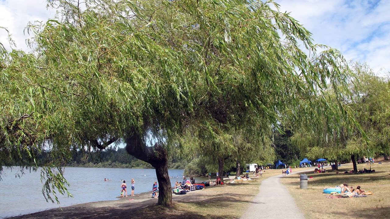 Photo of Outdoor in Saanich West