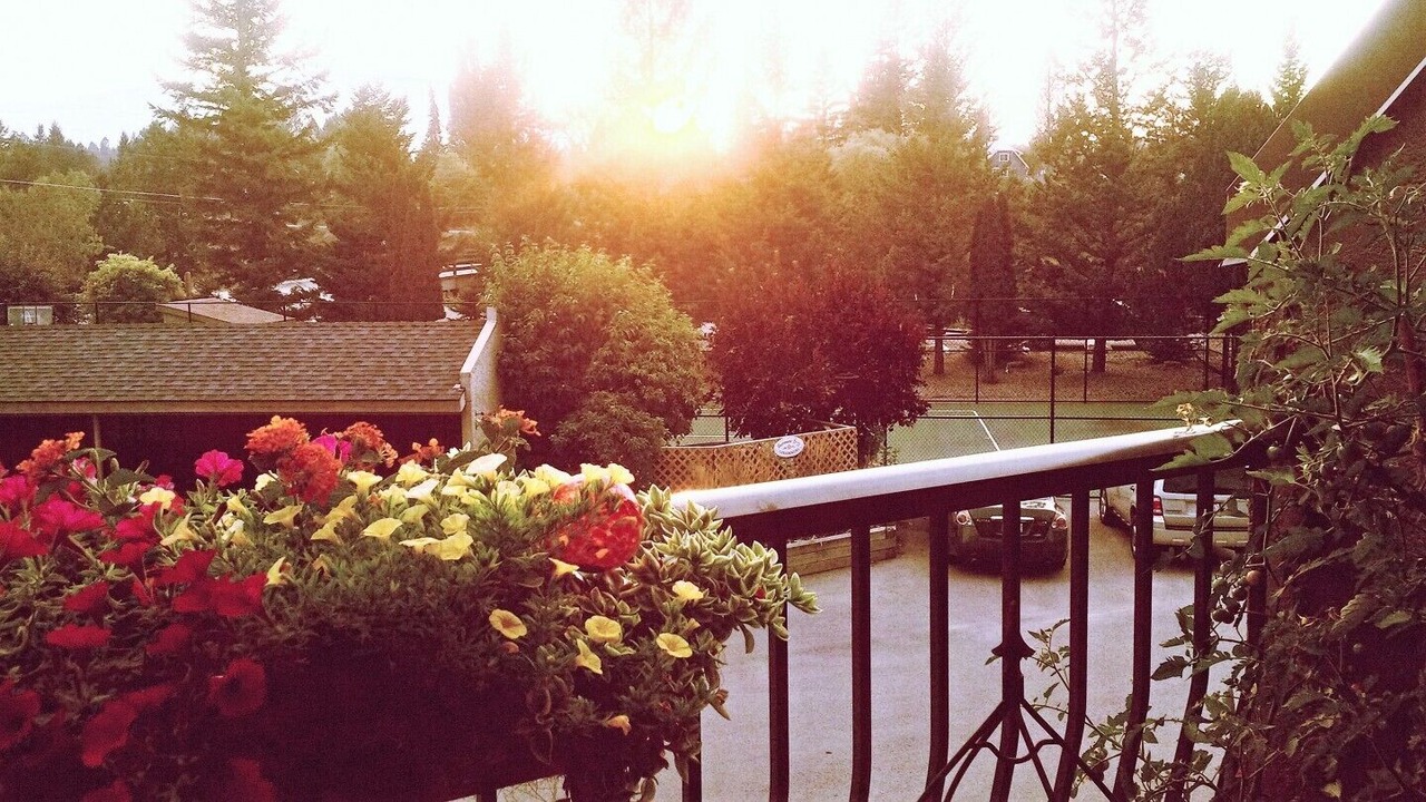 Photo of Others in Invermere
