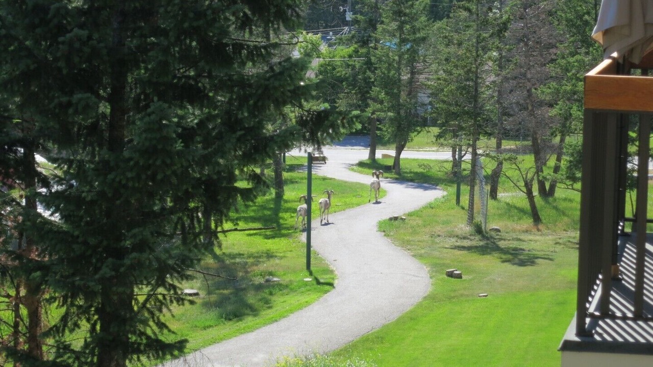 Photo of Outdoor in Radium Hot Springs