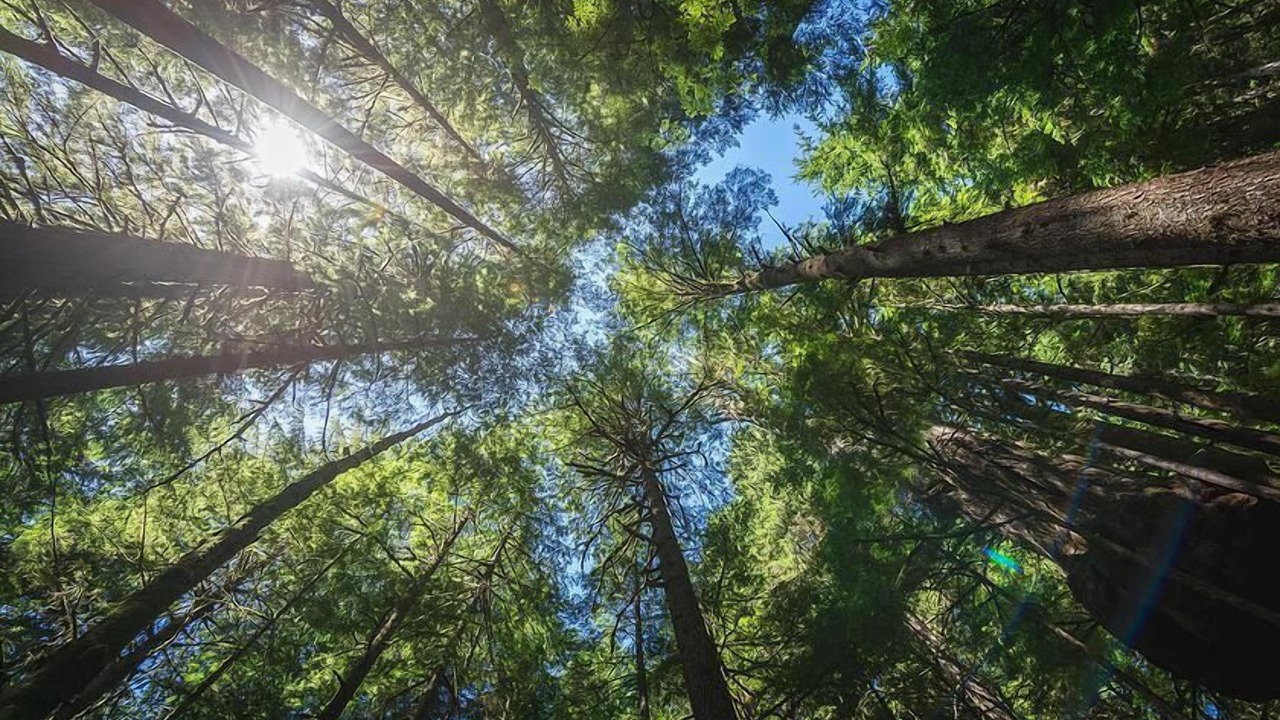 Photo of Outdoor in Port Renfrew