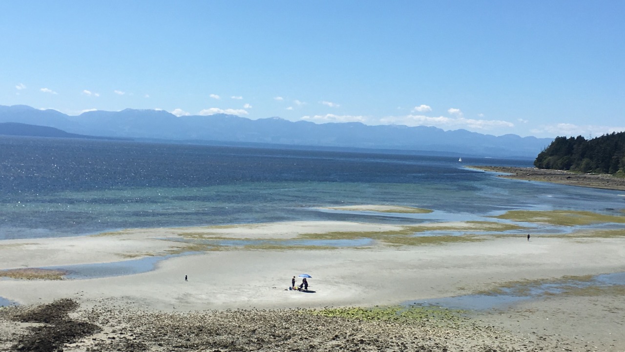 Photo of Others in Gillies Bay