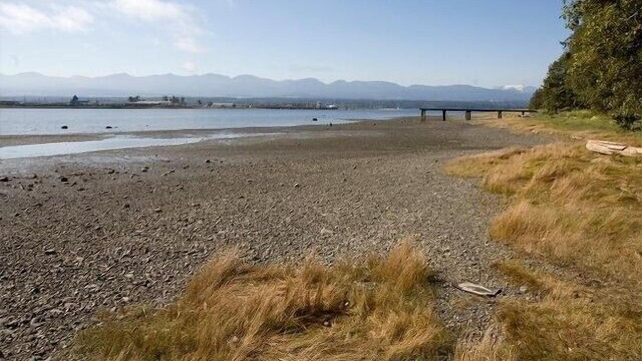 Photo of Others in Comox