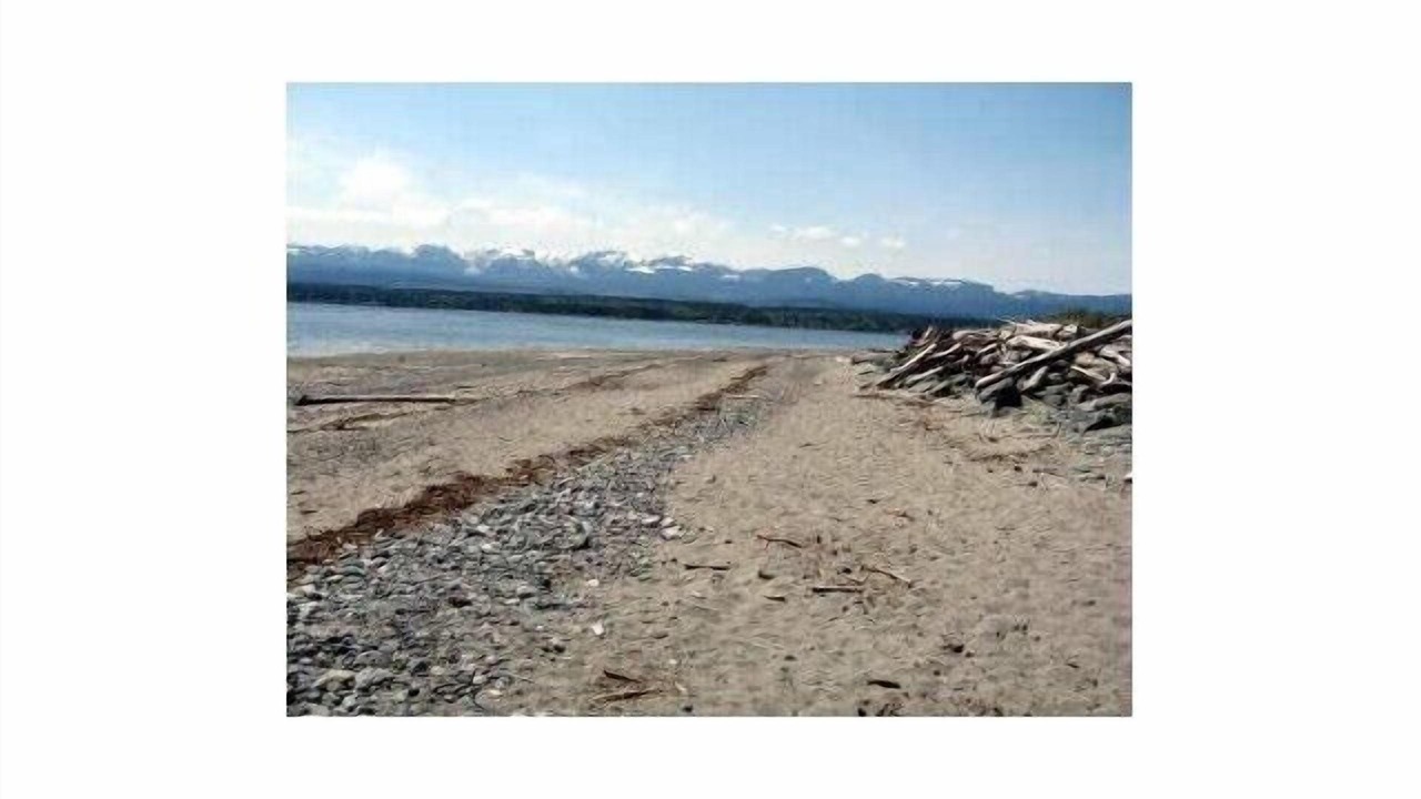 Photo of Others in Comox