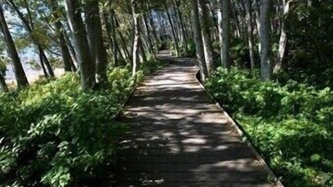 Photo of Others in Comox