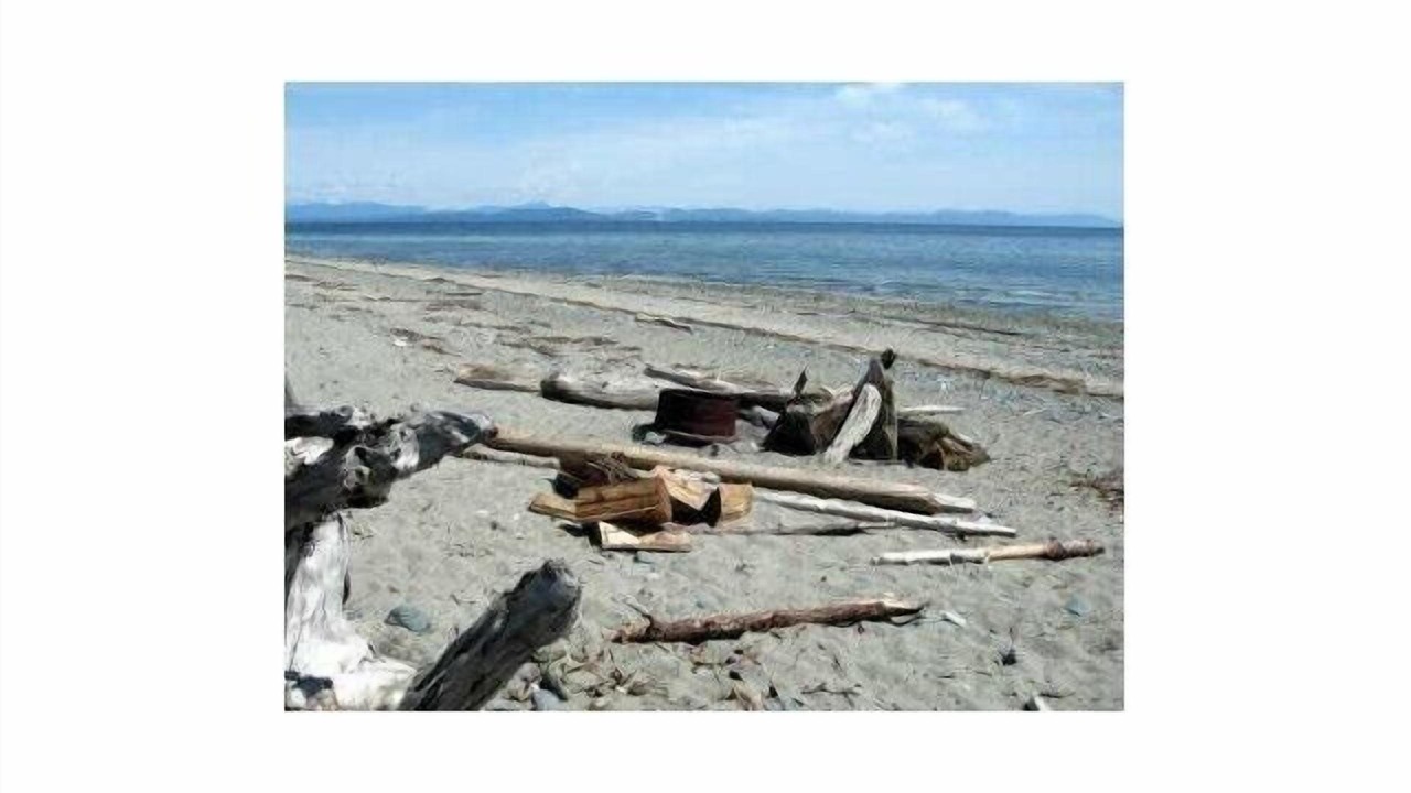 Photo of Others in Comox