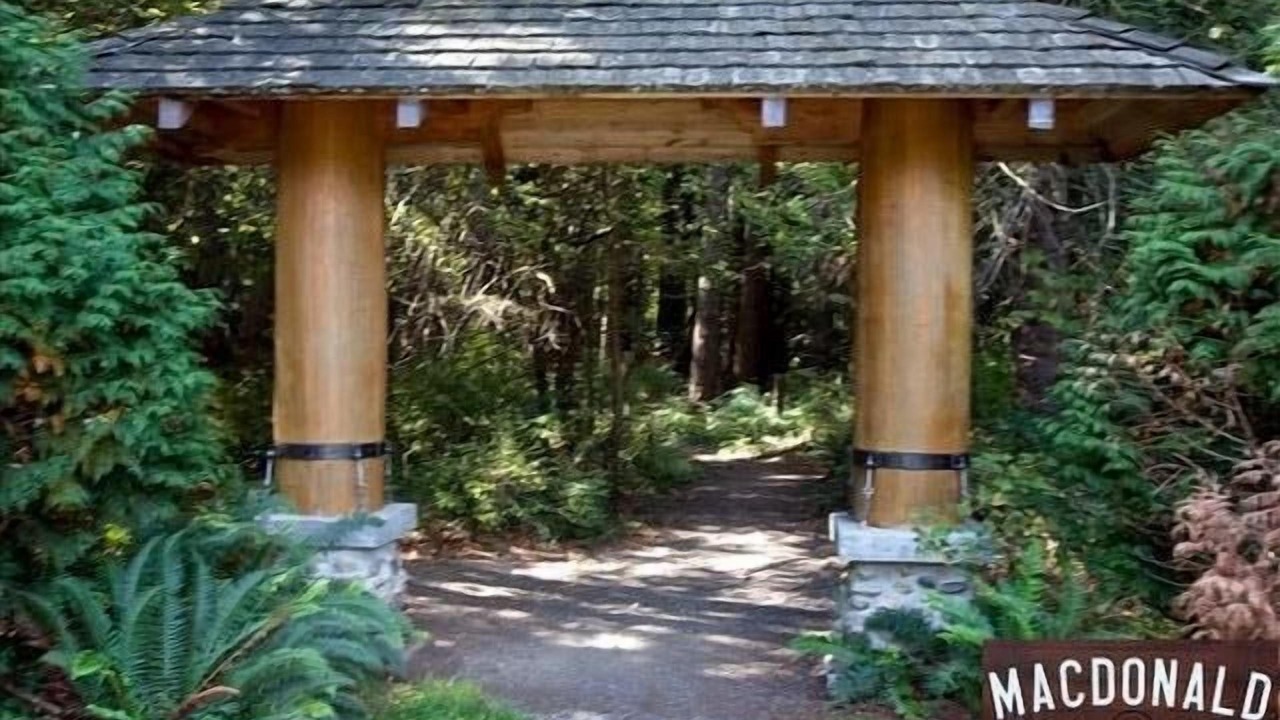 Photo of Others in Comox