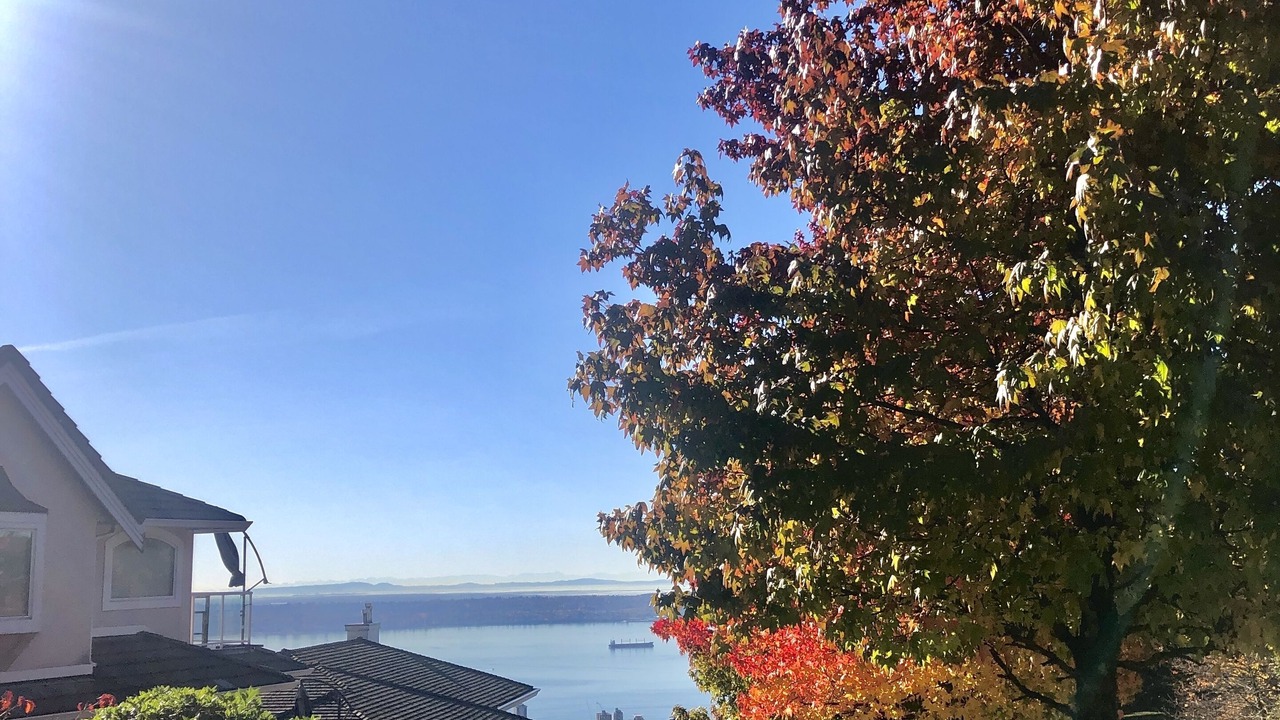 Photo of Others in West Vancouver