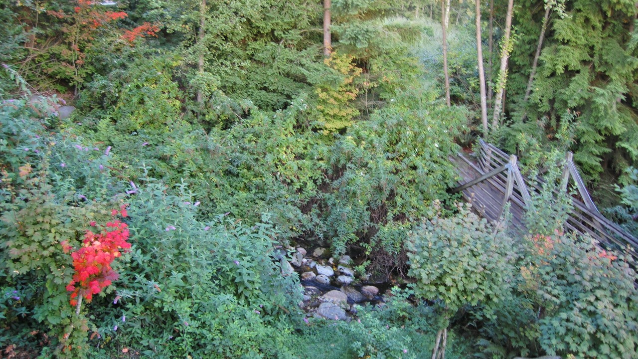 Photo of Others in West Vancouver