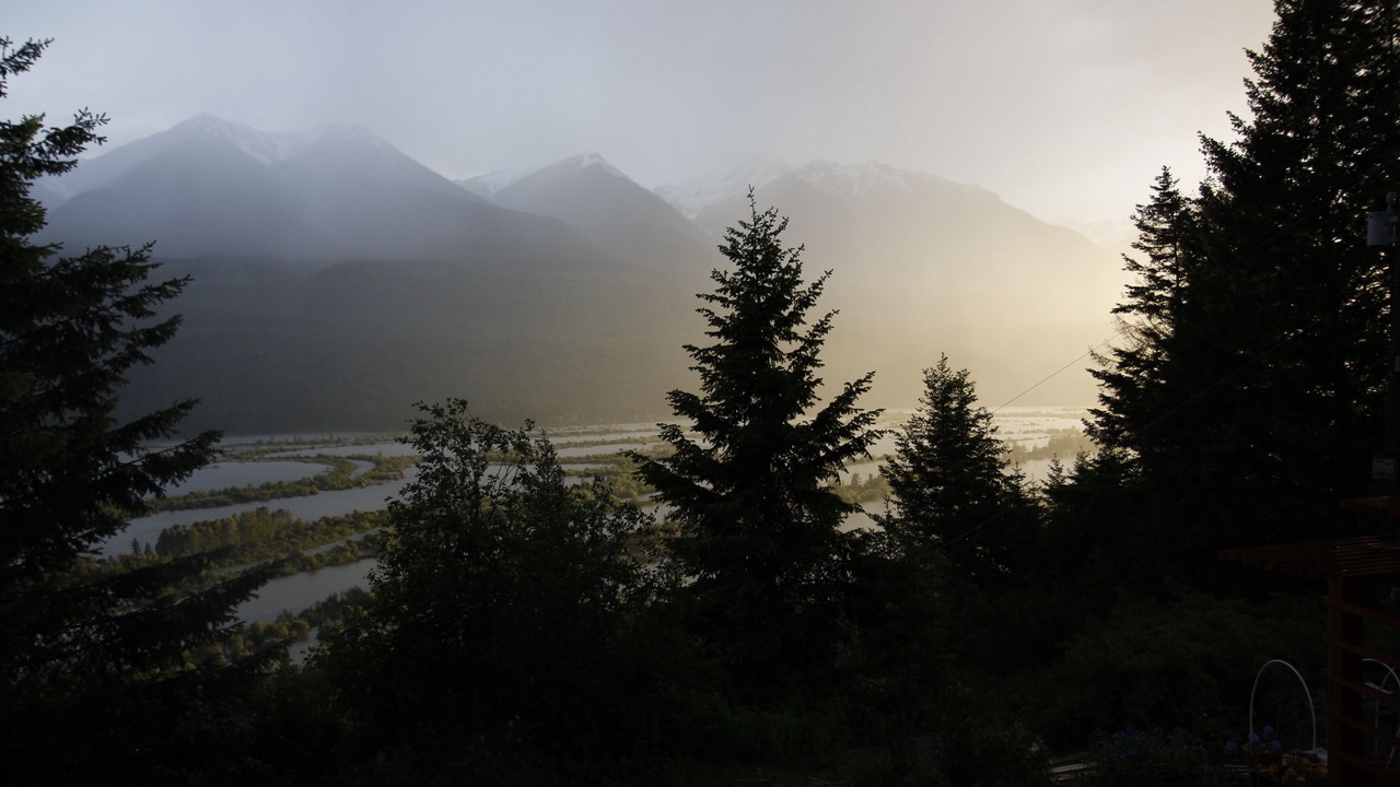 Photo of Others in Golden