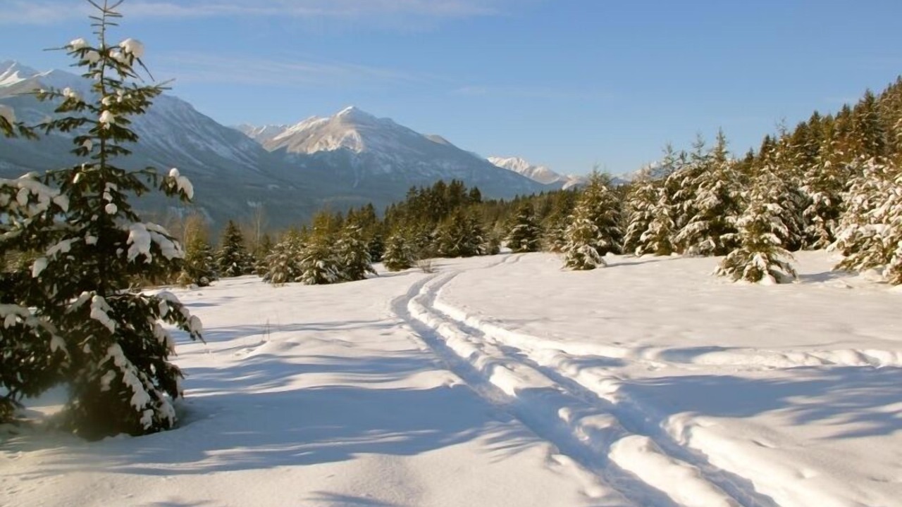 Photo of Outdoor in Golden