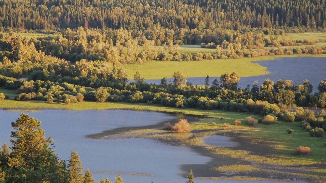 Photo of Others in Golden