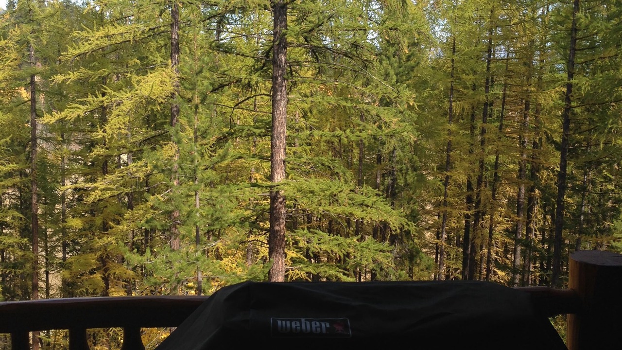 Photo of Others in East Kootenay