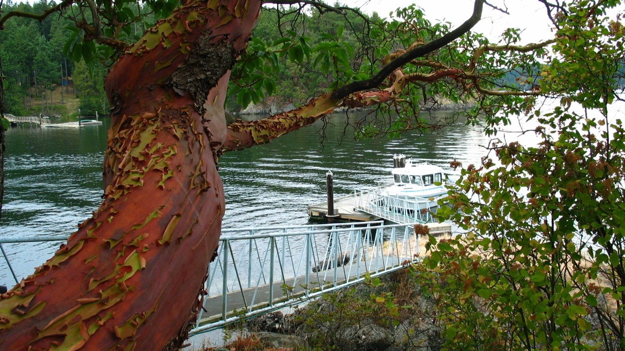 Photo of Outdoor in Pender Island