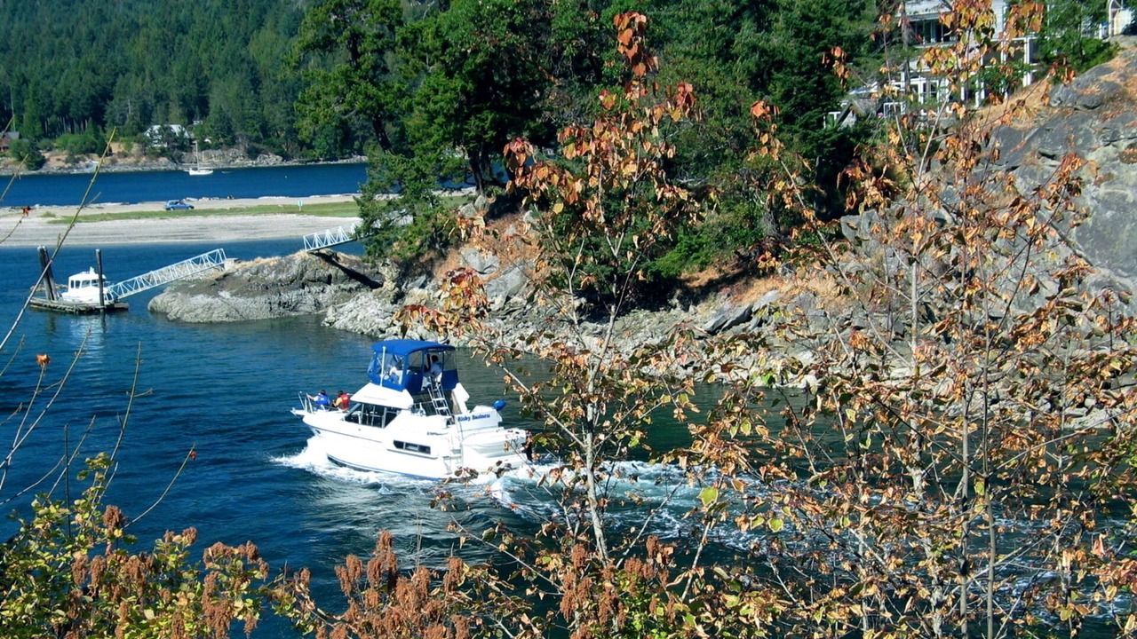 Photo of Others in Pender Island