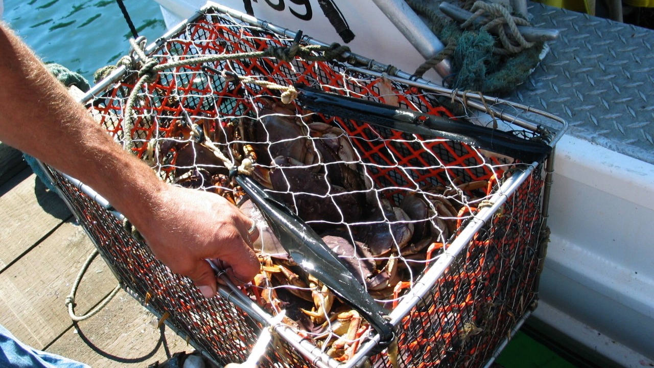 Photo of Others in Pender Island