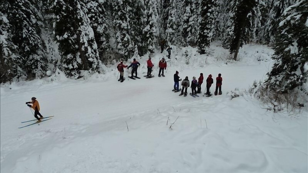 Photo of Others in Silver Star Mountain