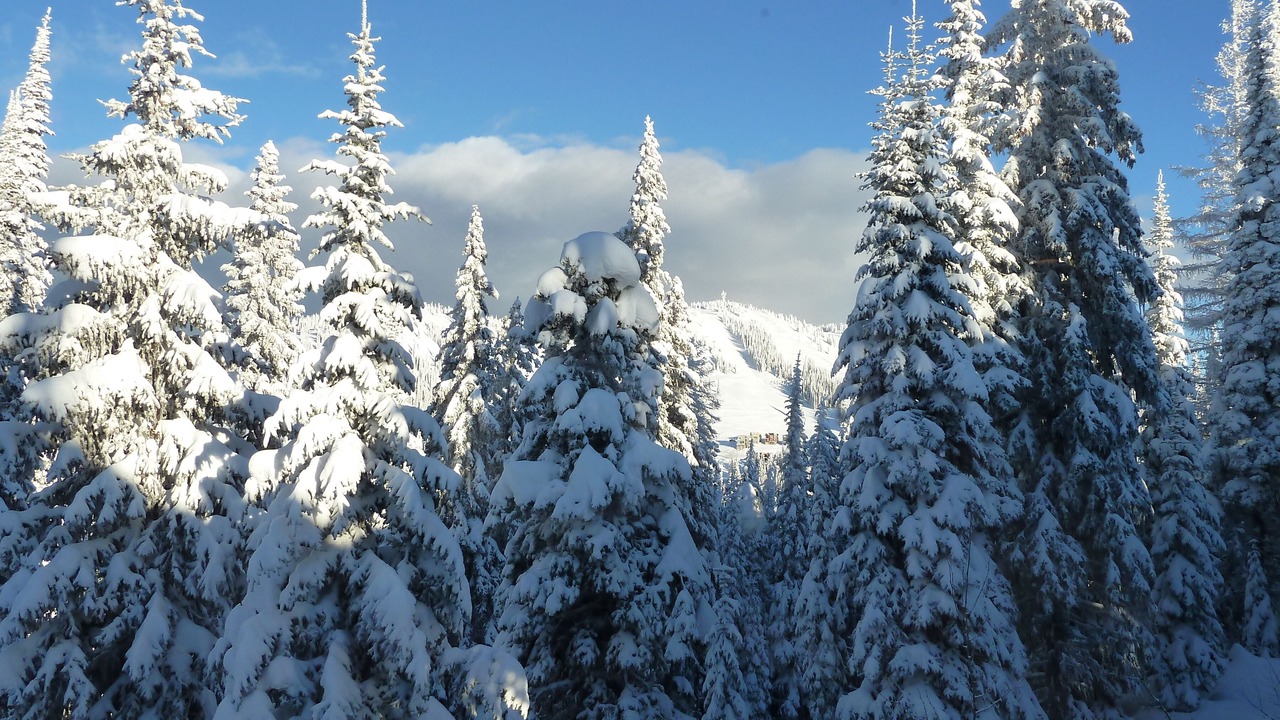 Photo of Bedroom in Silver Star Mountain