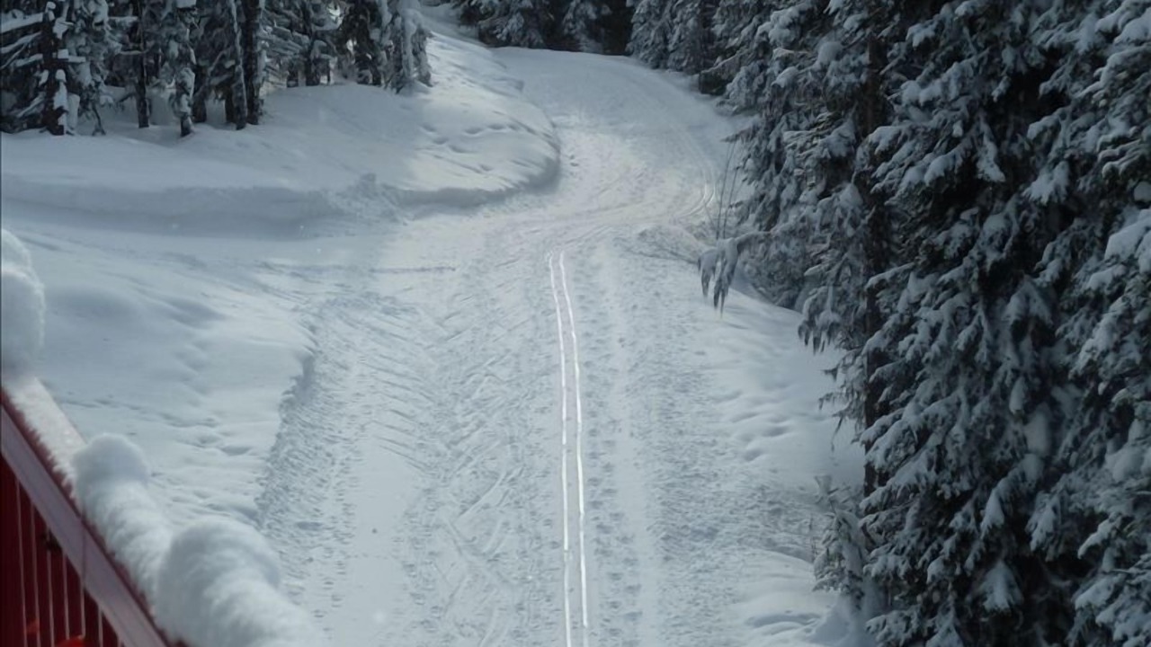 Photo of Others in Silver Star Mountain
