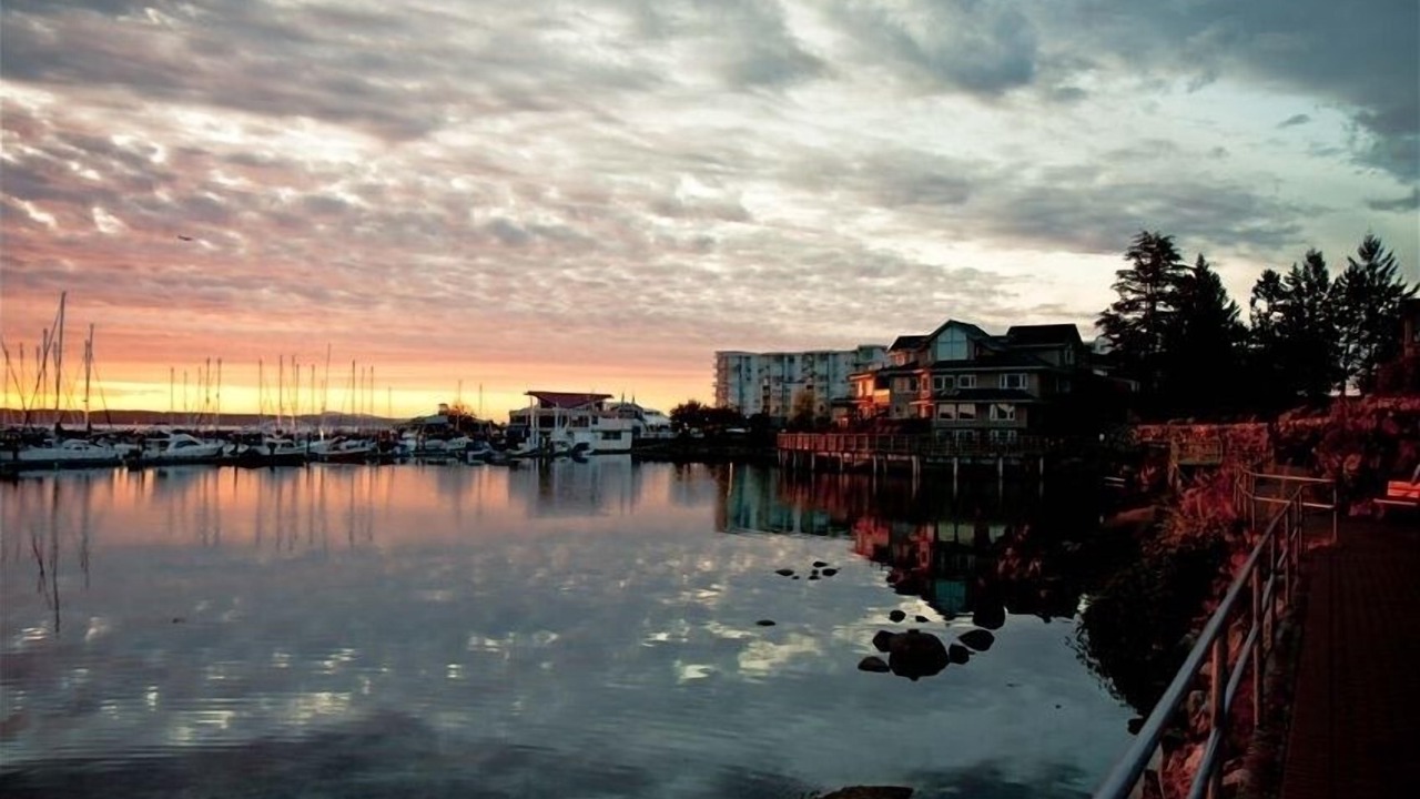 Photo of Others in Sidney