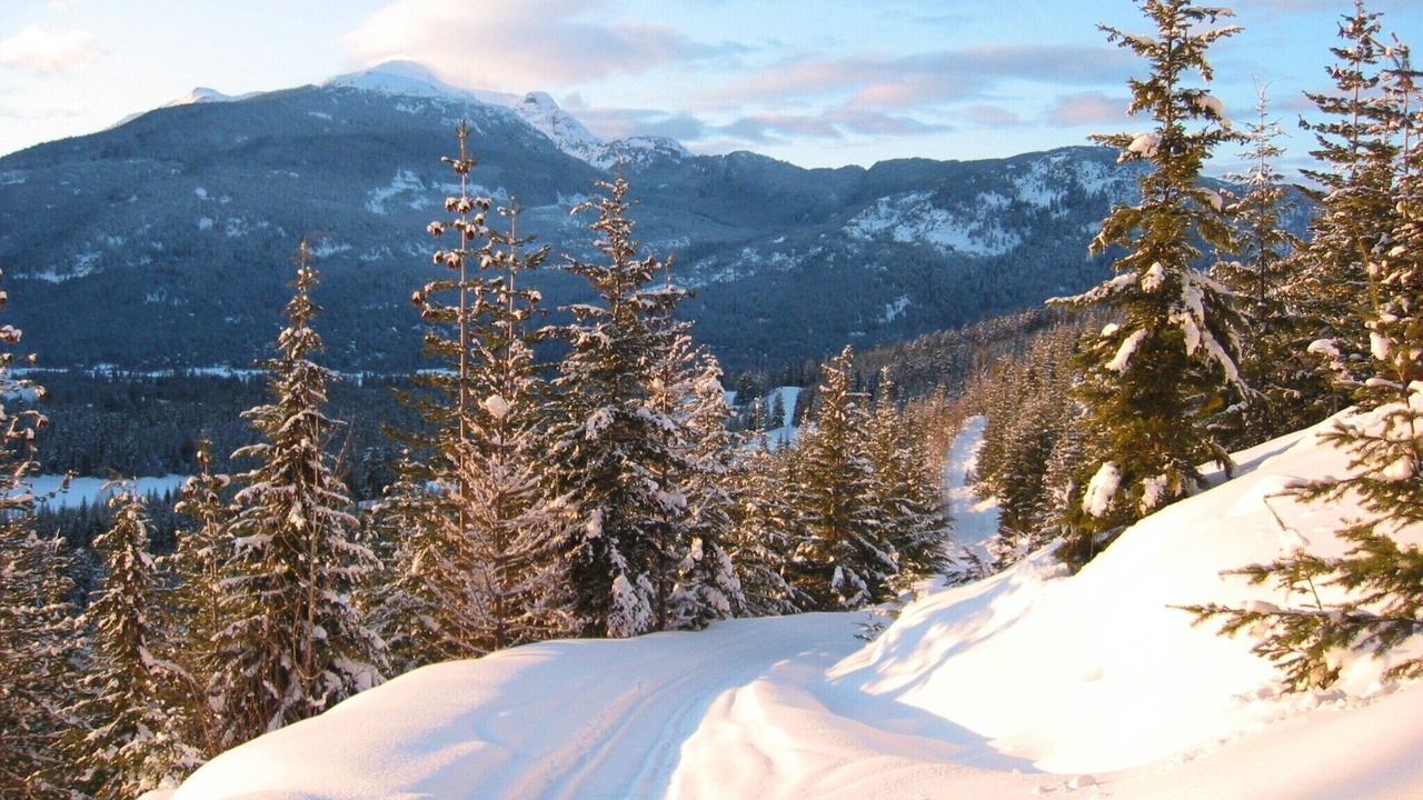 Photo of Others in Upper Village