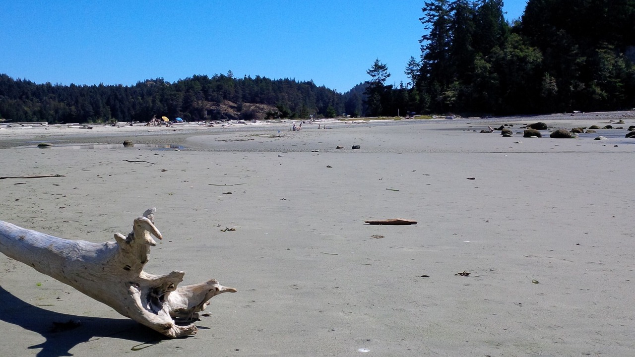 Photo of Others in Halfmoon Bay