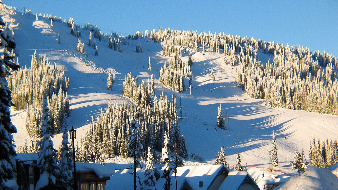 Photo of Others in Silver Star Mountain