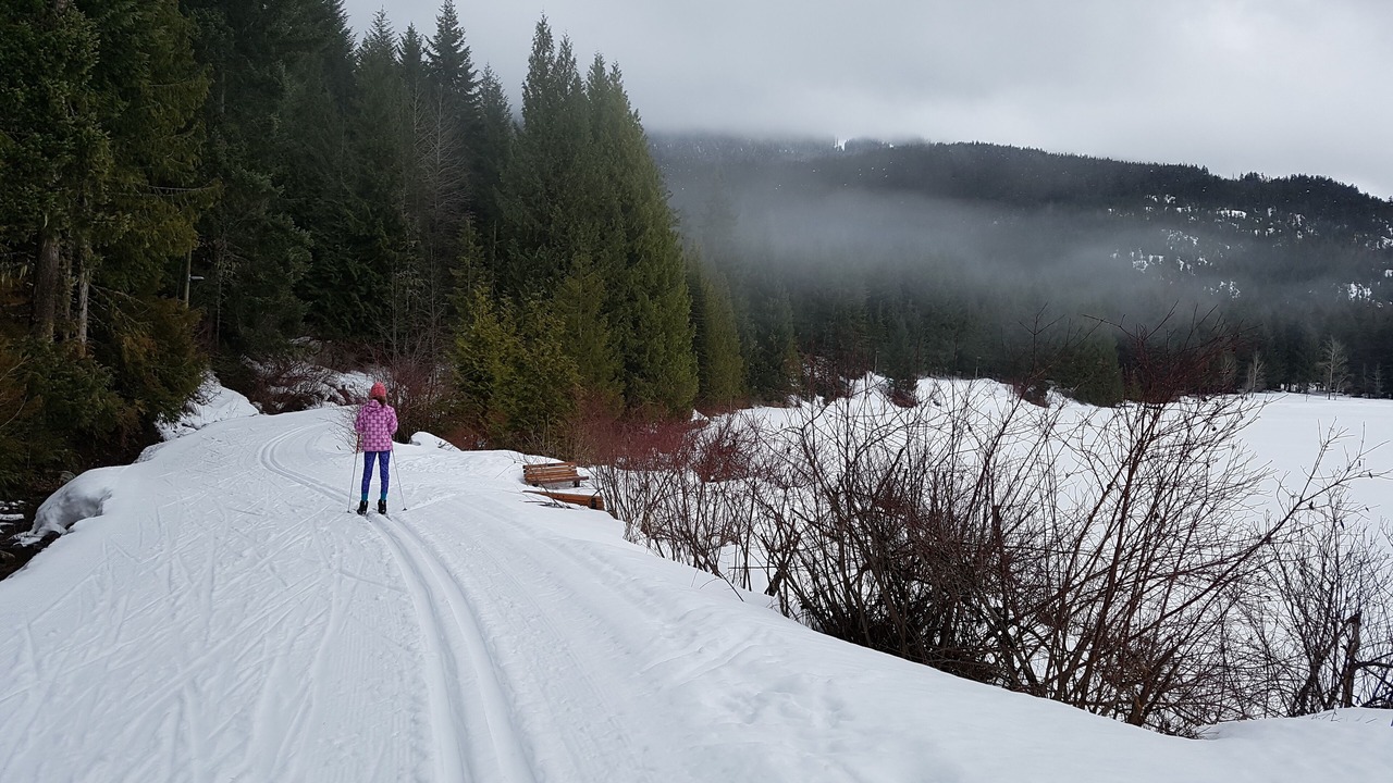 Photo of Outdoor in Blackcomb