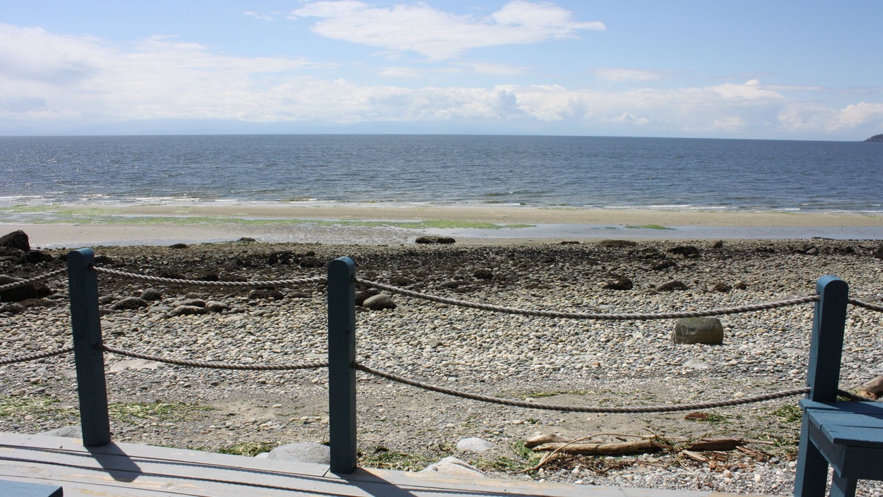 Photo of Others in Davis Bay