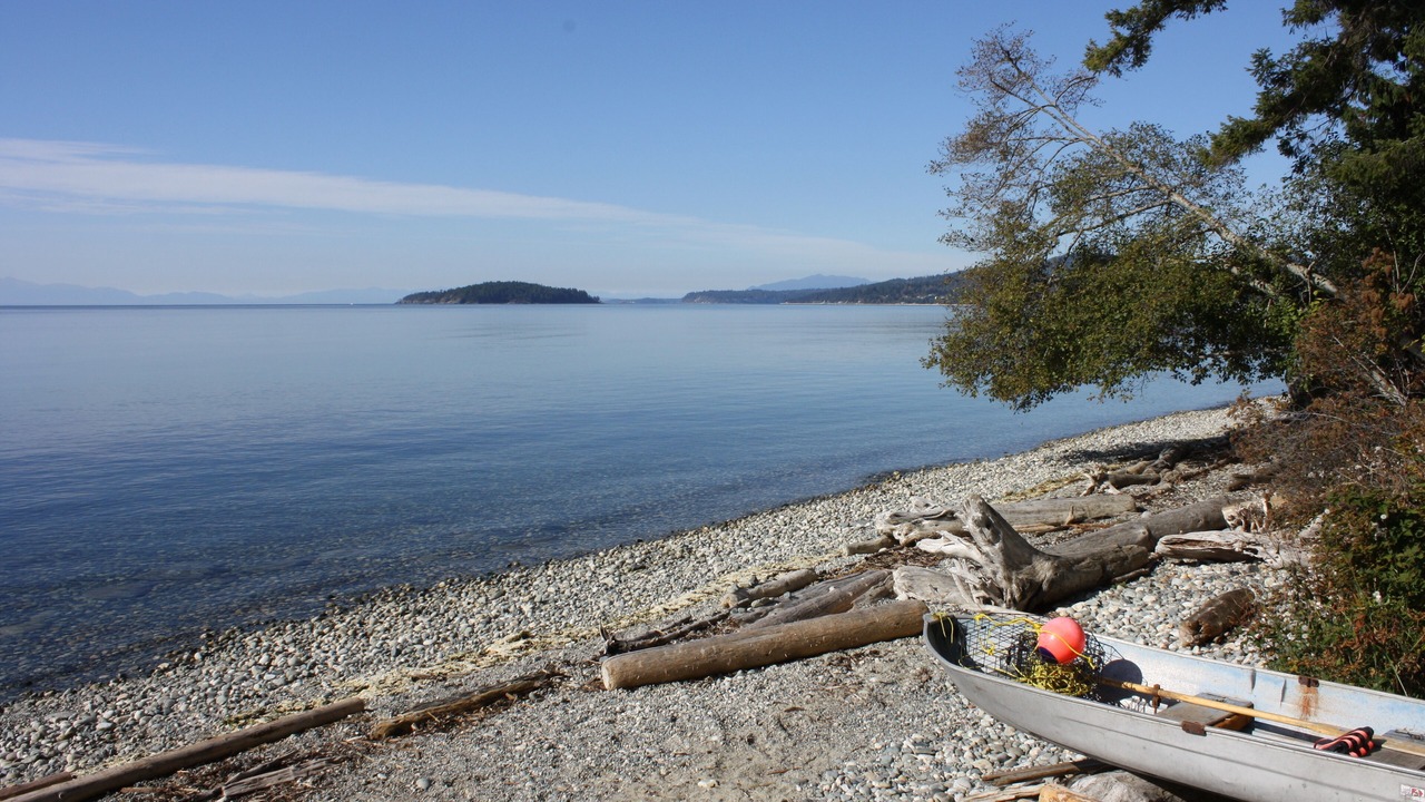 Photo of Others in Davis Bay