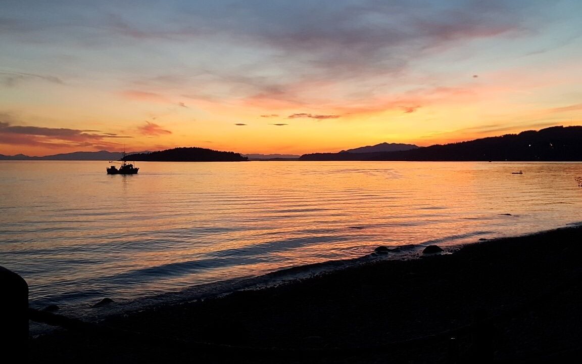 Photo of Others in Davis Bay