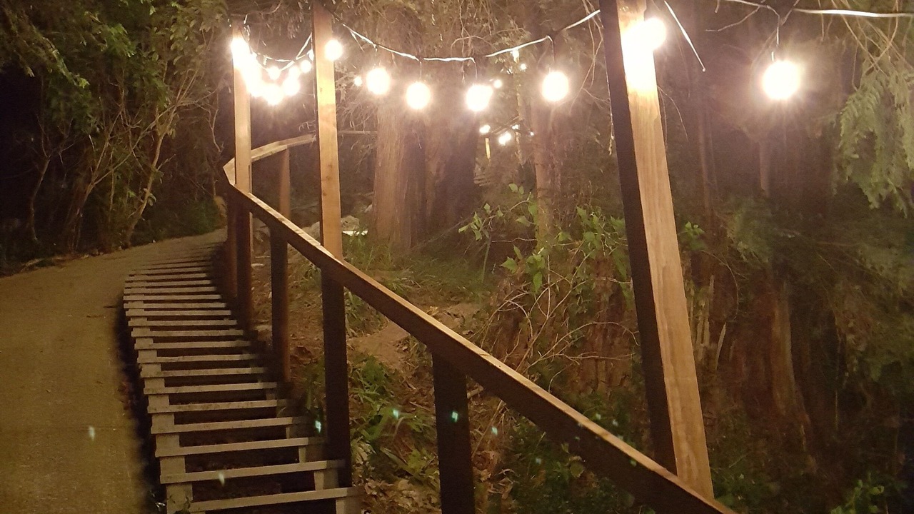 Photo of Outdoor in Davis Bay
