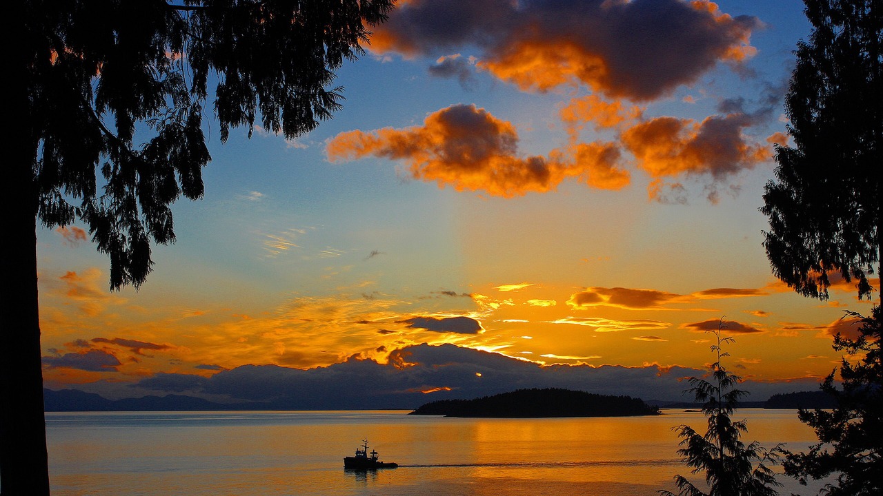 Photo of Others in Davis Bay