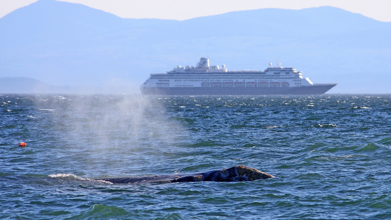 Photo of Others in Davis Bay
