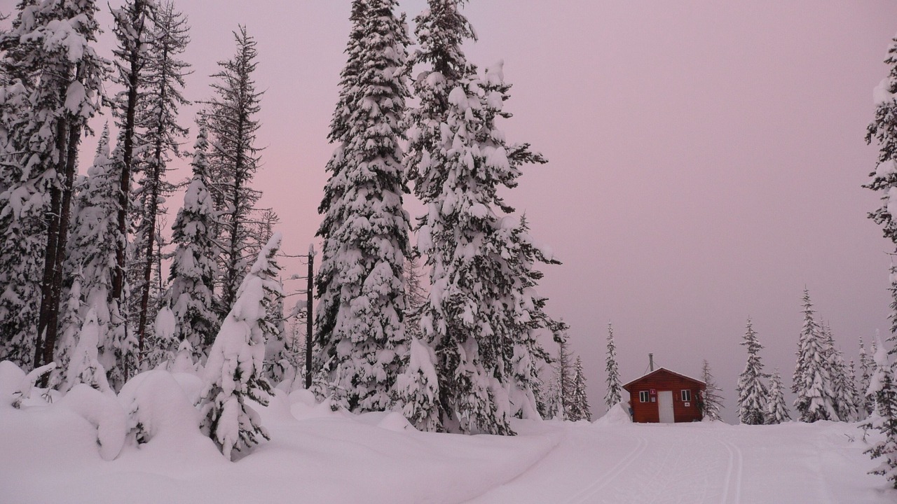 Photo of Others in Silver Star Mountain
