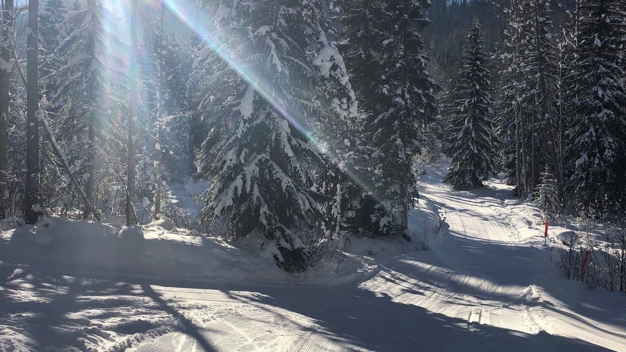 Photo of Others in Golden