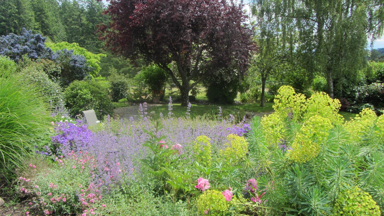 Photo of Outdoor in Saanichton