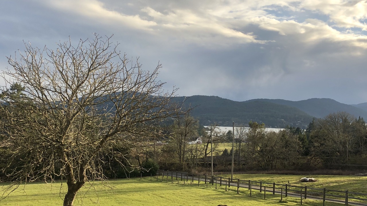 Photo of Others in Saanichton