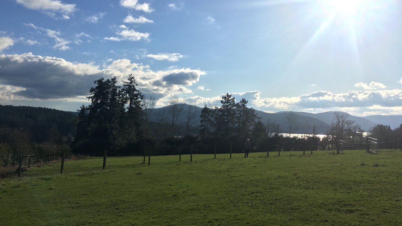 Photo of Others in Saanichton
