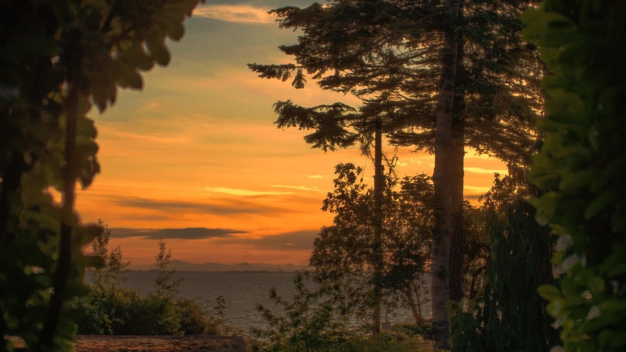 Photo of Others in Crescent Beach