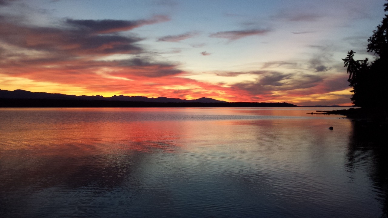 Photo of Others in Hornby Island