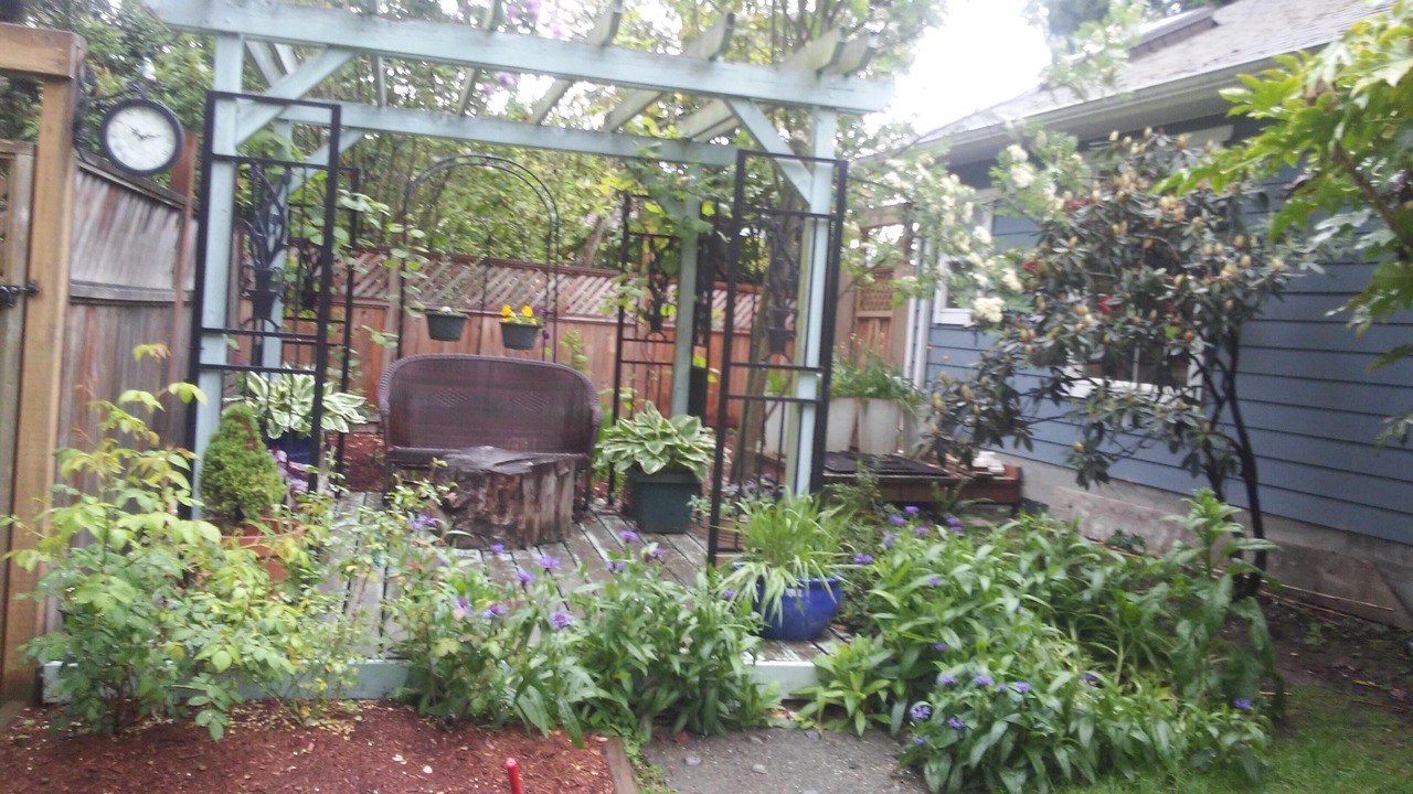 Photo of Outdoor in Cordova Bay