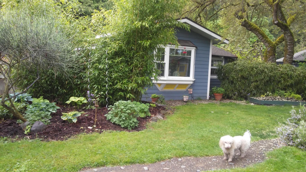 Photo of Outdoor in Cordova Bay