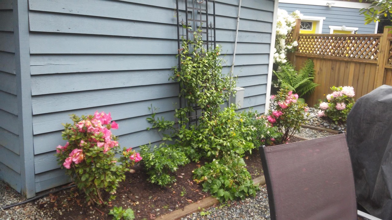 Photo of Outdoor in Cordova Bay