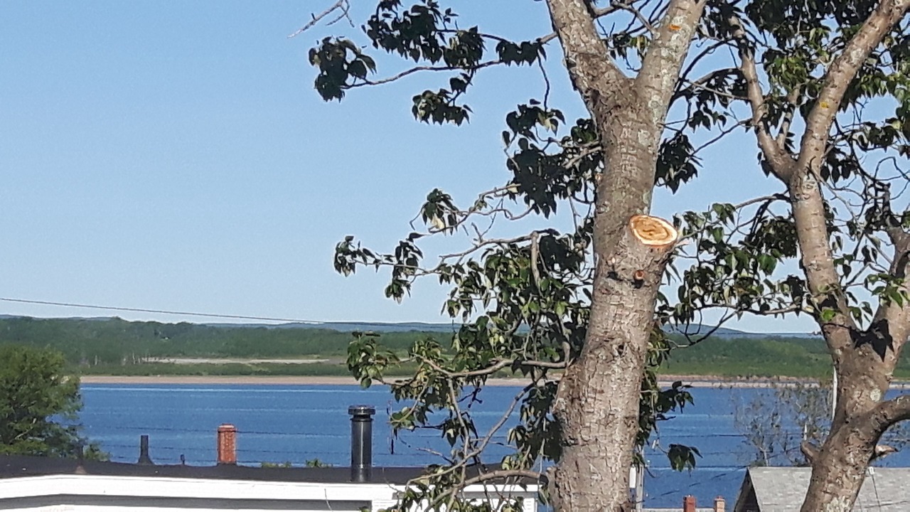 Photo of Others in Cape Breton Regional Municipality