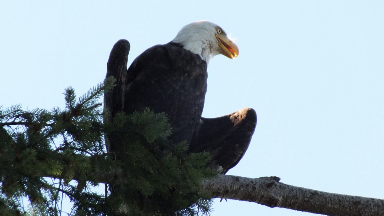 Photo of Others in Regional District of Nanaimo