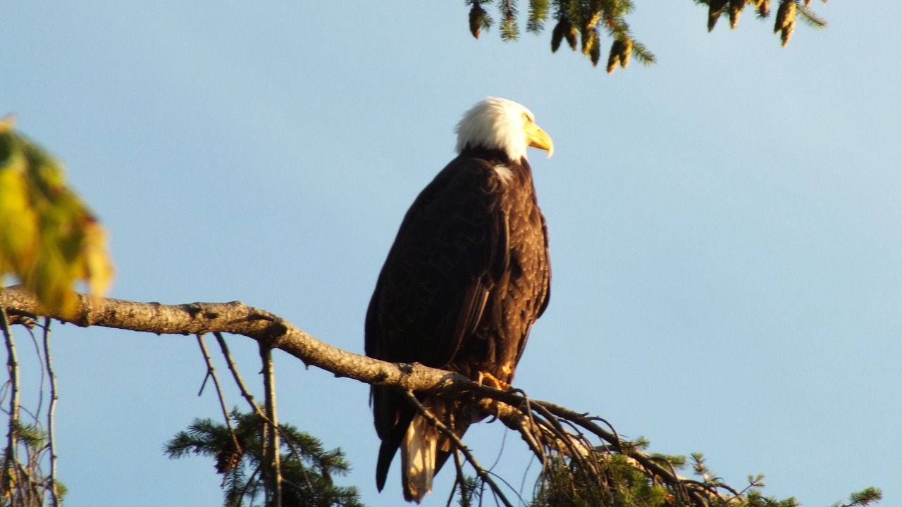 Photo of Others in Regional District of Nanaimo