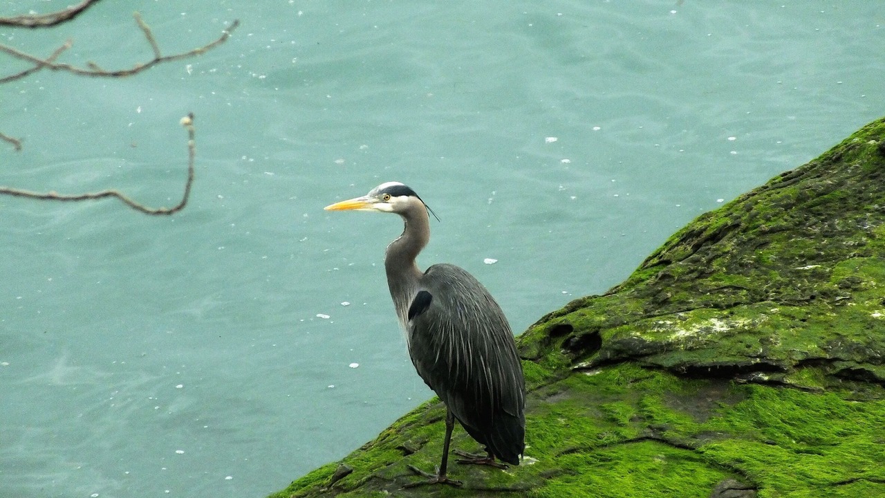 Photo of Outdoor in Regional District of Nanaimo