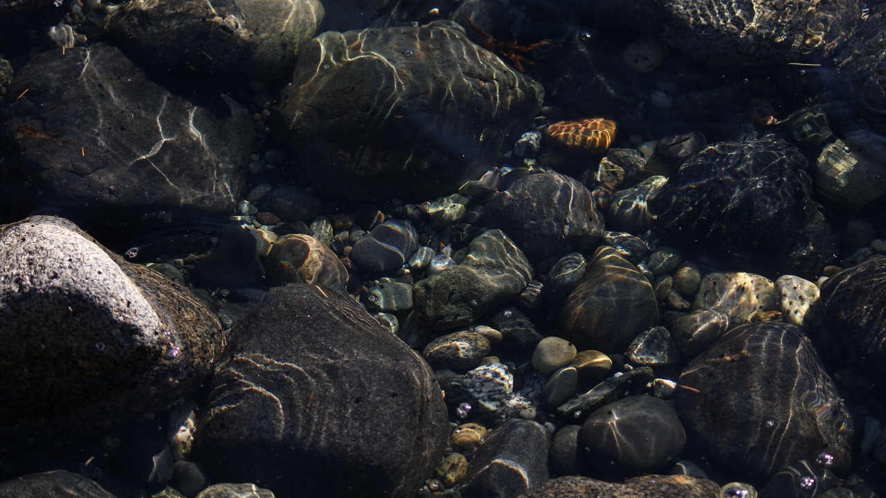 Photo of Others in West Sechelt