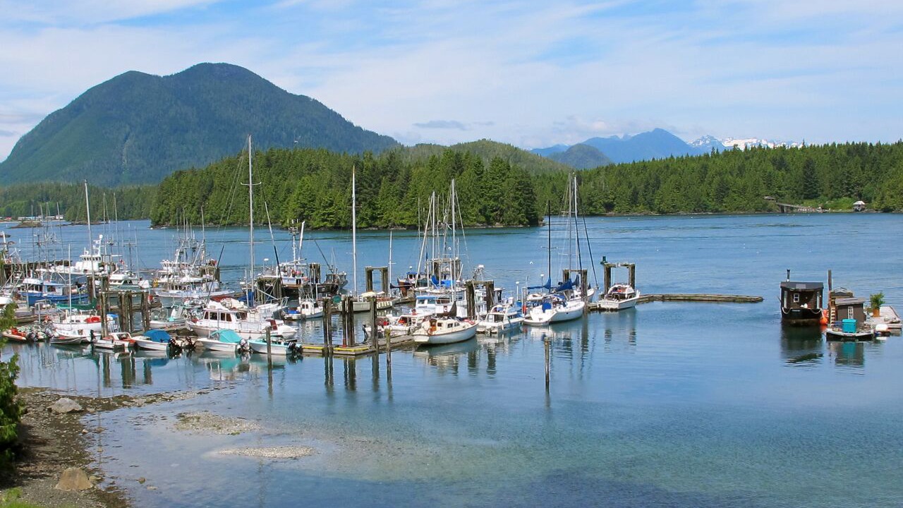 Photo of Others in Tofino