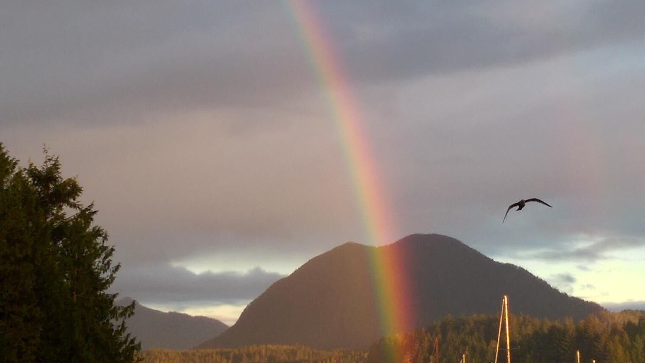 Photo of Others in Tofino